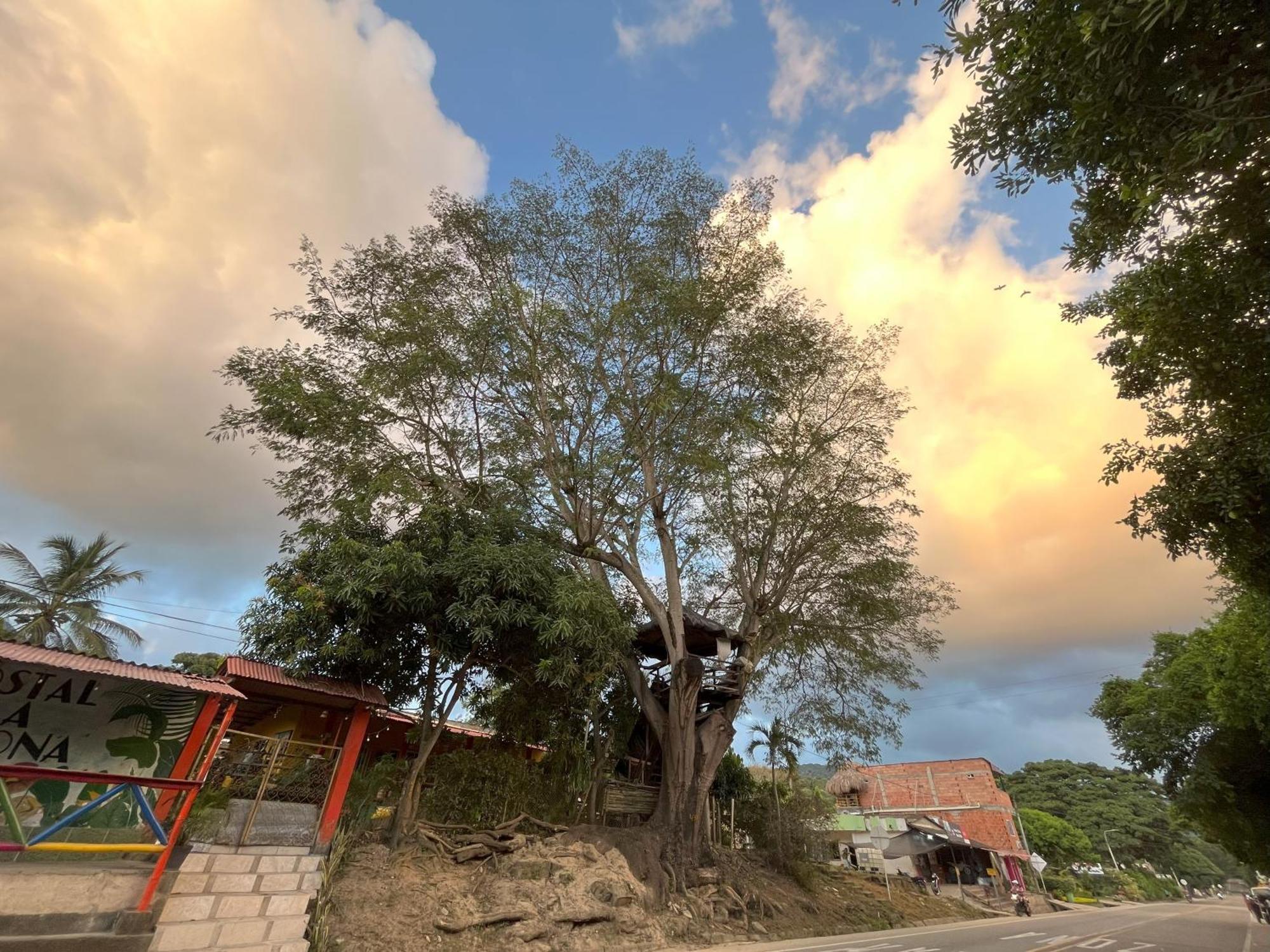 La Casona Del Tayrona By Gastro Host Bed & Breakfast El Zaino Exterior photo